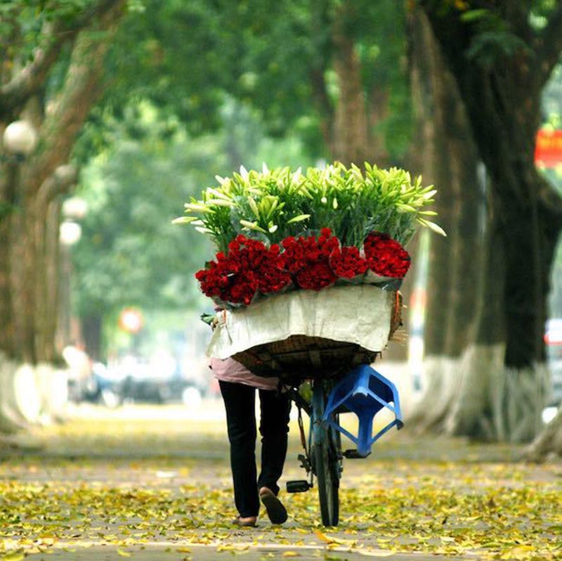 Thời điểm đẹp nhất để đi du lịch Hà Nội