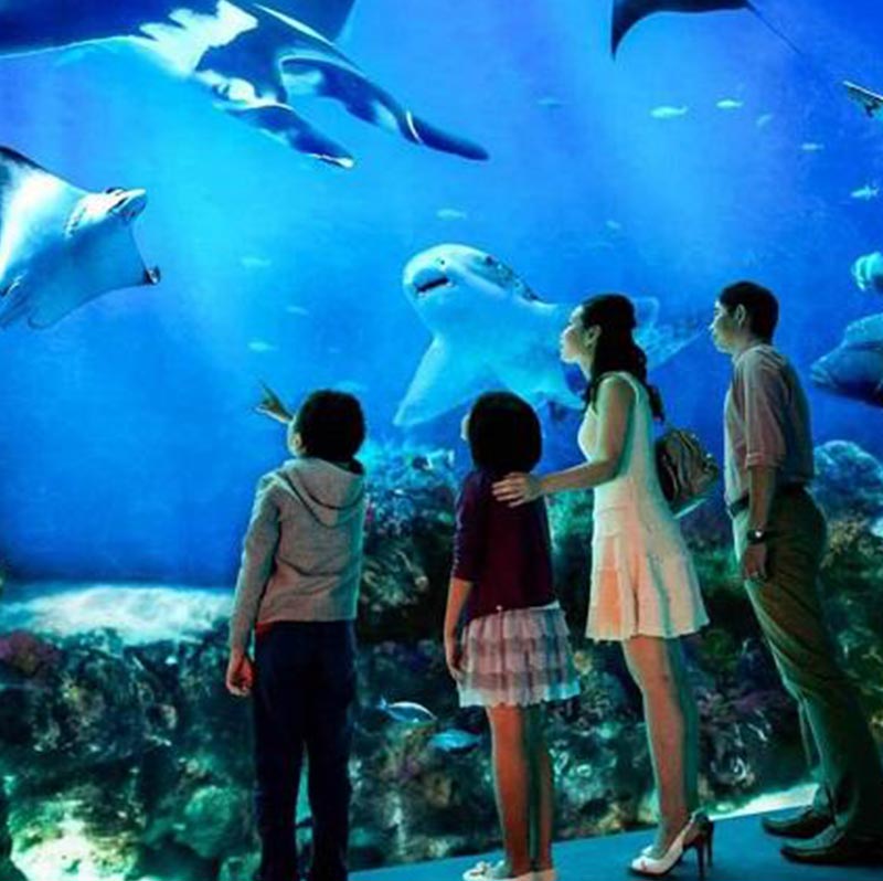 Thủy Cung Hà Nội - khu vui chơi đang khuấy đảo du khách