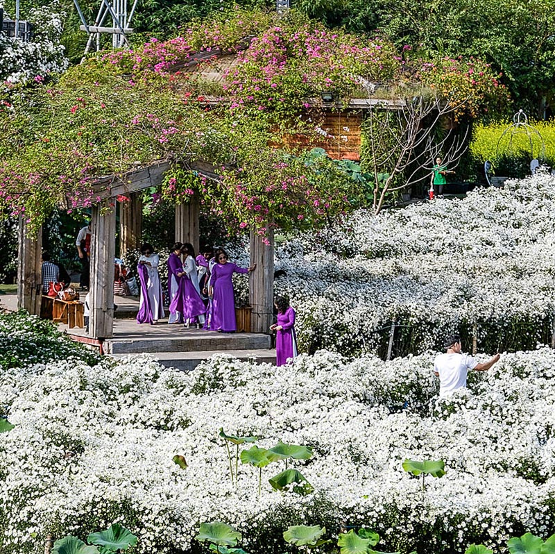 Thung lũng hoa Hồ Tây ở đâu?